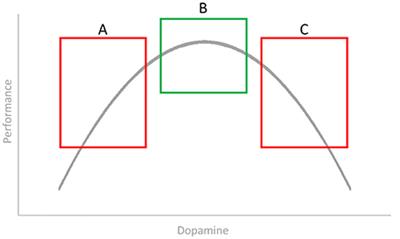 The Grand Challenge: Integrating Nomothetic and Ideographic Approaches to Human Cognition